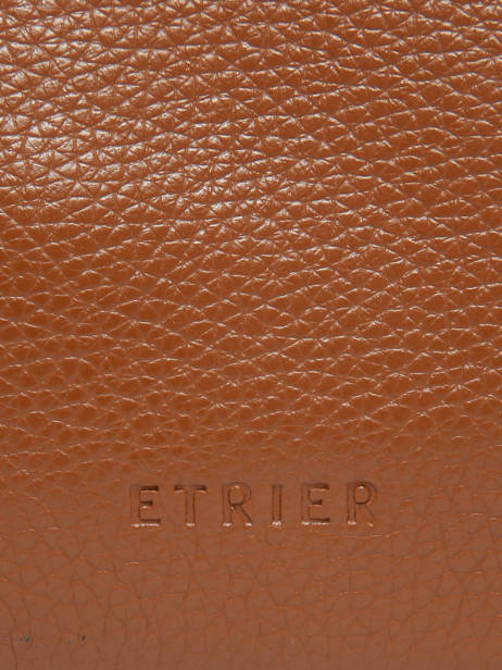 Sac Bandoulière Flandres Cuir Etrier Marron flandres EFLA728S vue secondaire 5